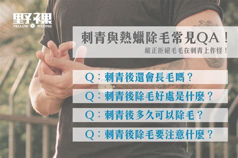 臉上白毛可以拔嗎|除毛好處是什麼？如何正確除毛？7種除毛方式優缺點。